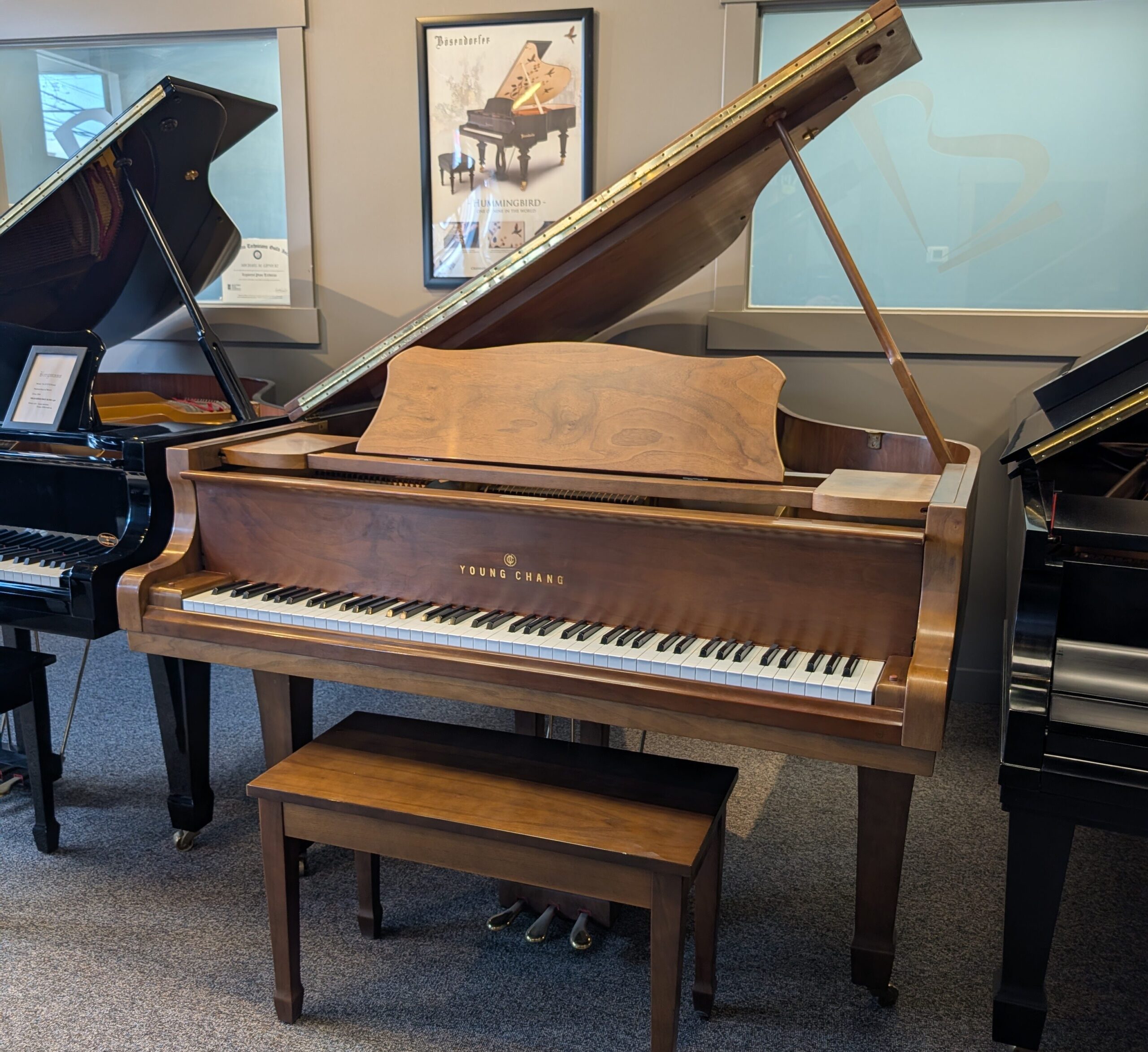 Featured image for “Young Chang G-185 (6′) Grand”