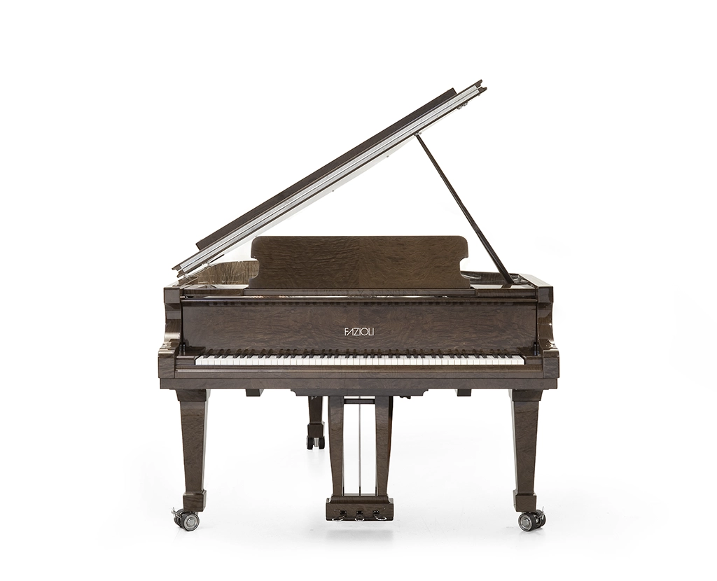 Fazioli Tamo grand piano