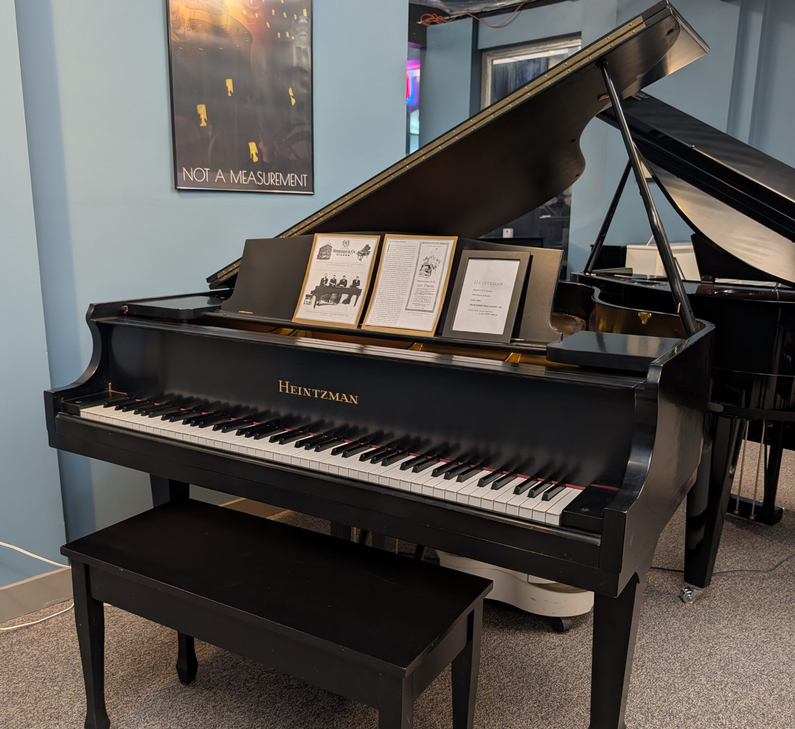 Featured image for “Heintzman Model D (6’1) Grand”