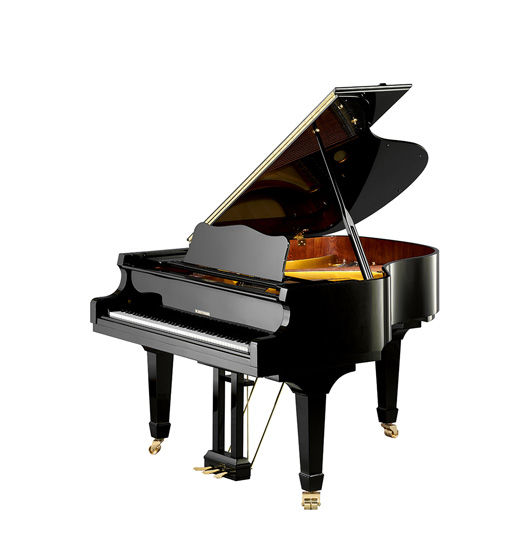 Featured image for “W. Hoffmann ‘Vision’ V175 (5’9)”