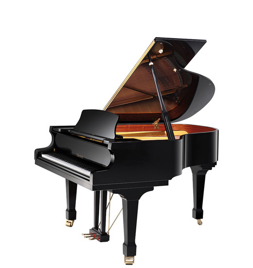 Featured image for “Zimmermann ‘Studio’ Z175 (5’9)”