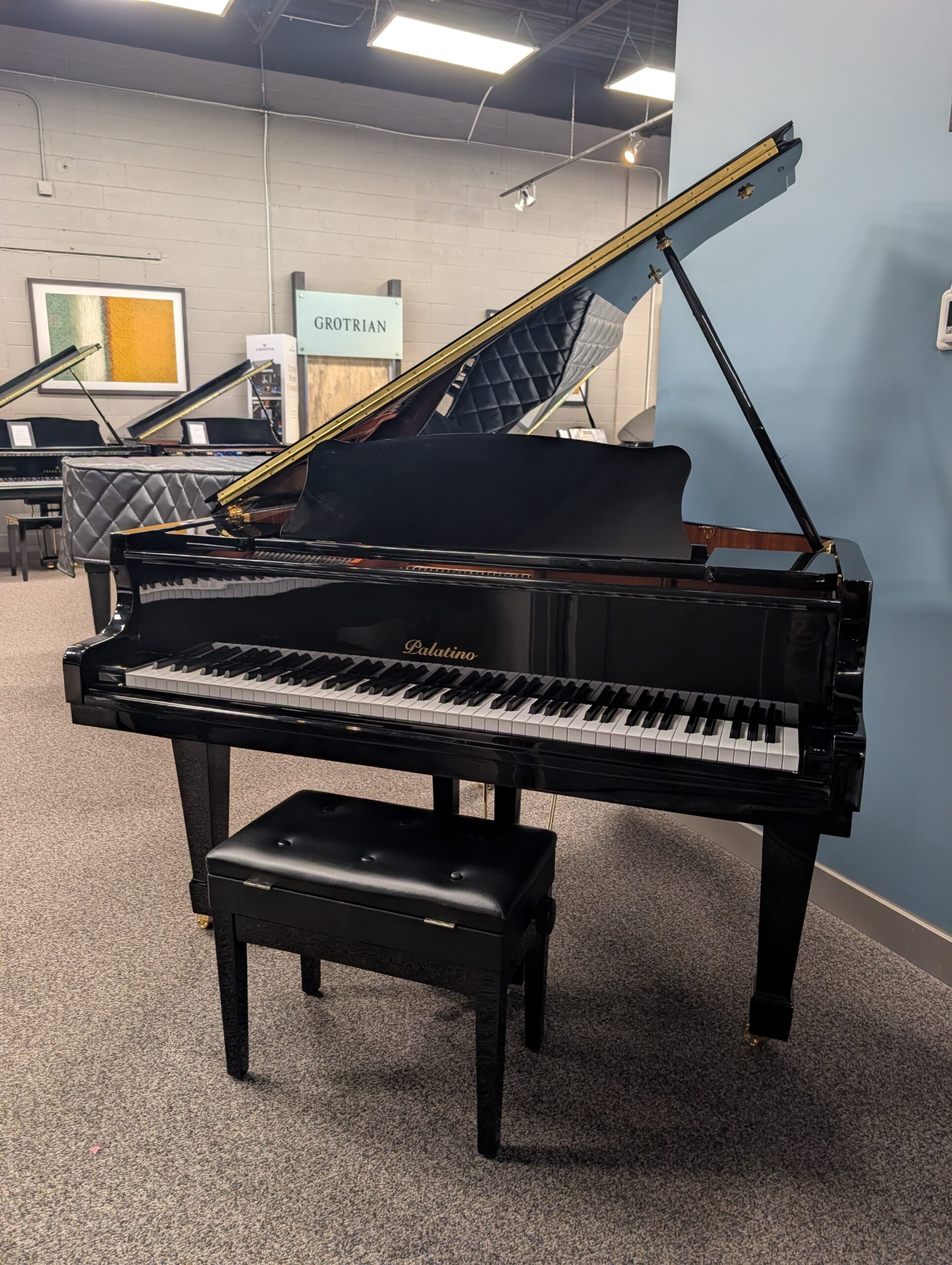 Used Palatino Grand