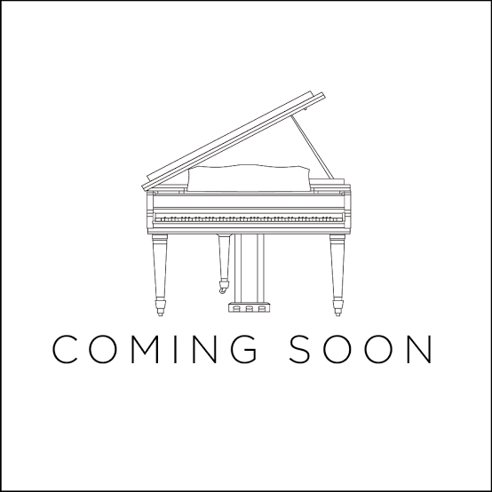 Featured image for “Palatino GP-50 (5′) Grand”